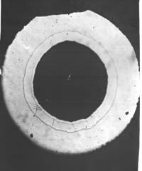 �������� ������ ������